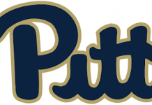 pitt panther football